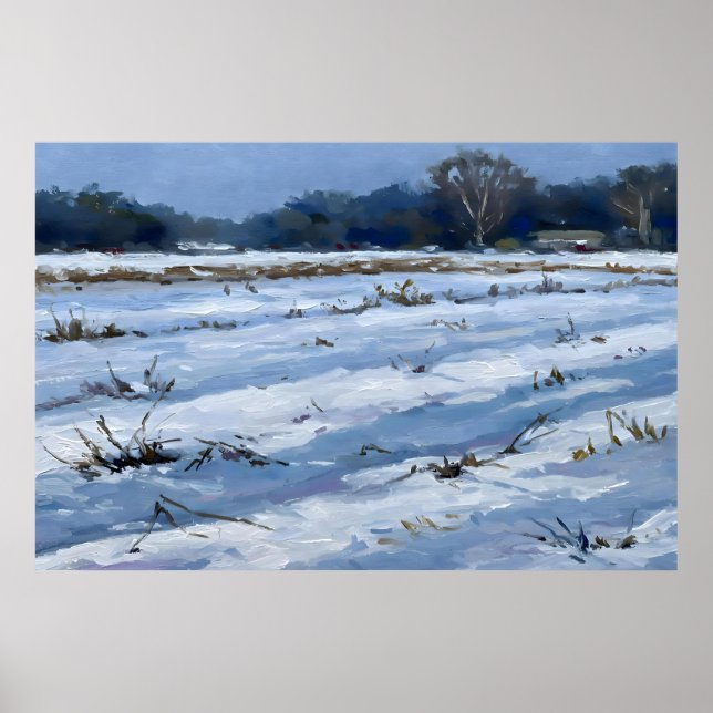 Affiche Snowfield (Devant)