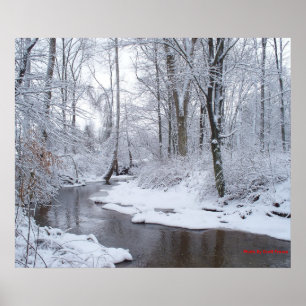 Affiche Snowtime en McLuney