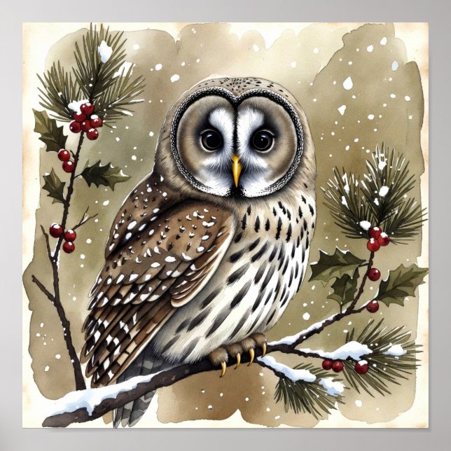 Affiche Snowy Owl on Holly Branch Watercolor Christmas (Devant)