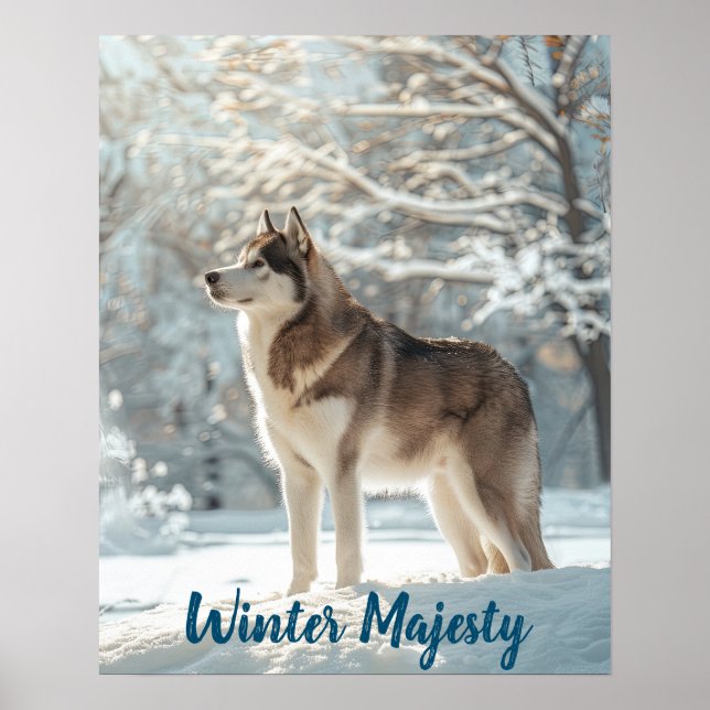 Affiche Snowy Sentinel : Alaskan Malamute Majesty (Devant)