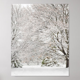 Affiche Snowy Winter Forest