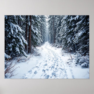 Affiche Snowy Winter Forest Path With Footprints Hiking