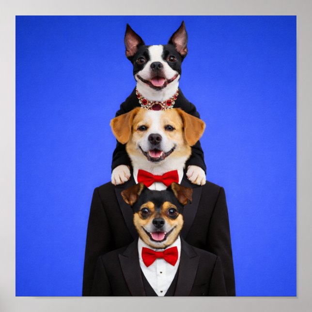 Affiche "So Happy Together" (Devant)