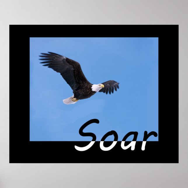Affiche Soar (Devant)