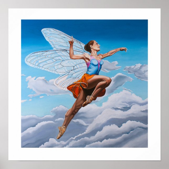 Affiche Soar (Devant)