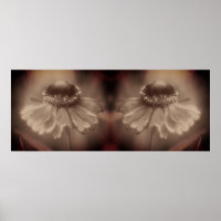 Soft Zinnia Daisy Flower Sepia Vintage Abstrait