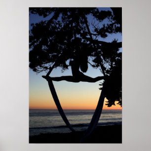 Affiche Soies aériennes à la verticale de coucher du