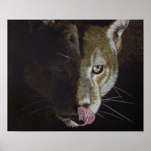 Affiche Soirée Cougar