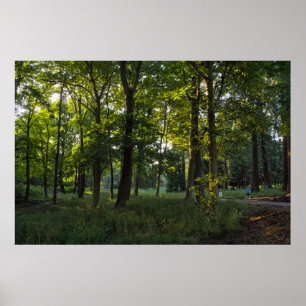Affiche Soirée D'Été, Bute Park, Cardiff