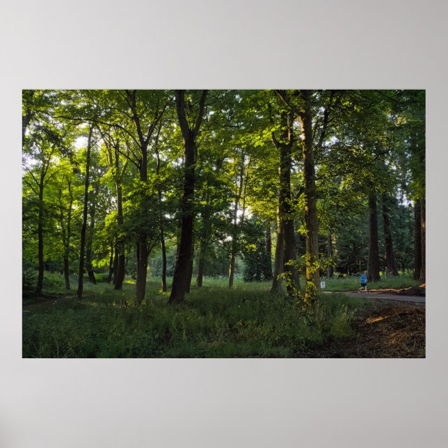 Affiche Soirée D'Été, Bute Park, Cardiff (Devant)