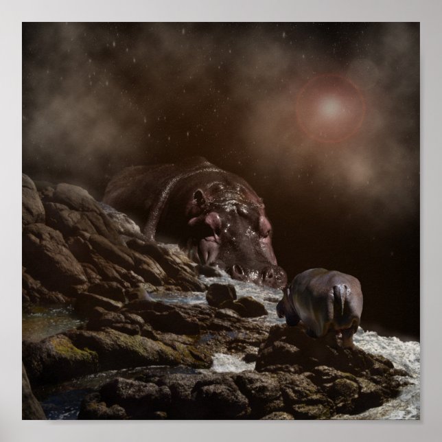 Affiche Soirée Hippo Enchantant, (Devant)