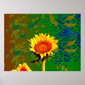 Affiche Soirée tournesol