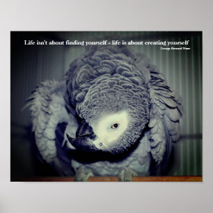 Affiche Sois toi-même mignon Parrot Citation Inspirationne