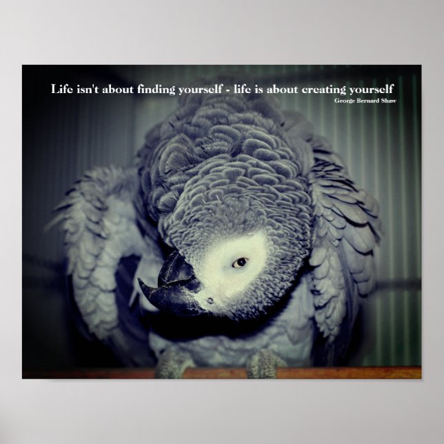 Affiche Sois toi-même mignon Parrot Citation Inspirationne (Devant)