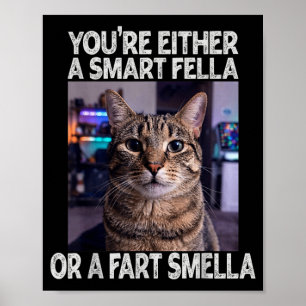 Affiche Soit un type intelligent ou un type idiot Chat drô