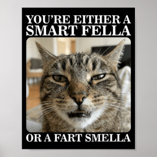 Affiche Soit un type intelligent, soit un chat drôle qui s