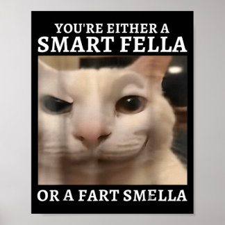 Affiche Soit un type intelligent, soit un type qui pue les