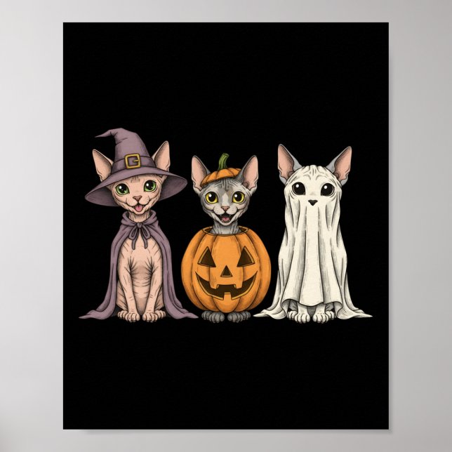 Affiche Soky Ghost Sphynx Amoureux des chats Citrouille Ha (Devant)
