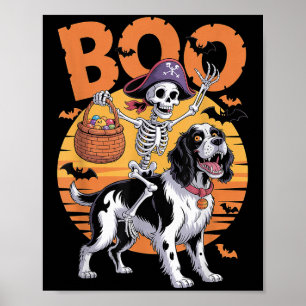 Affiche Soky Springer Costume anglais Springer espagnol Ha