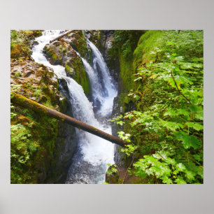 Affiche Sol Duc Falls I au parc national Olympique