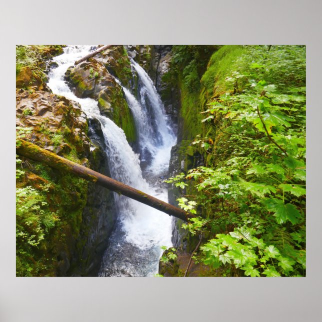 Affiche Sol Duc Falls I au parc national Olympique (Devant)