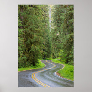Affiche Sol Duc River Road à travers la forêt