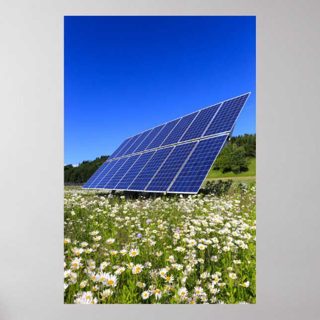Affiche Solar Panels Green Meadow Sustainable Energy (Devant)