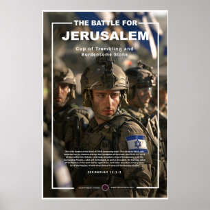 Affiche Soldat des FDI