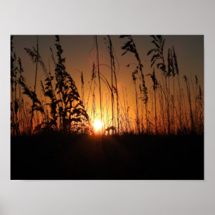 Affiche Soleil