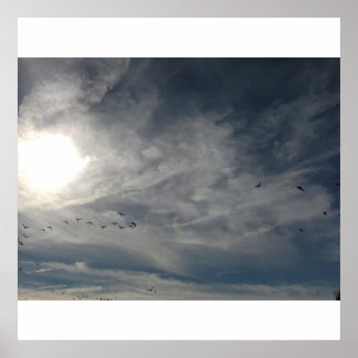 Affiche soleil blanchi