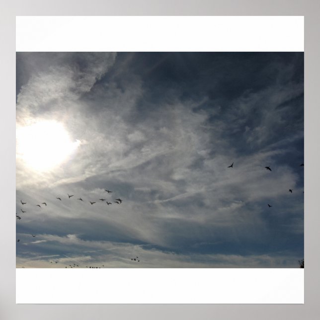 Affiche soleil blanchi (Devant)