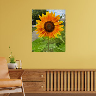 Affiche Soleil brillant