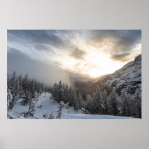 Affiche Soleil brillant dans un paysage hivernal époustouf