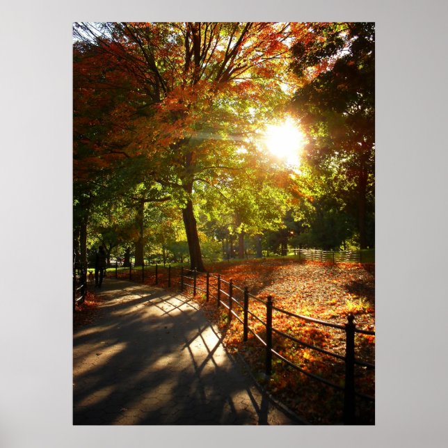 Affiche Soleil d'automne à Central Park, NYC, Toutes les t (Devant)