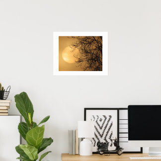 Affiche Soleil de début de matinée 