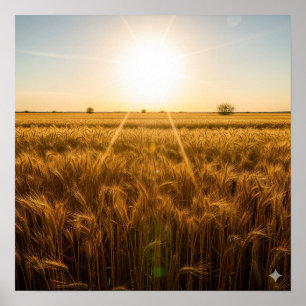 Affiche Soleil de midi intense