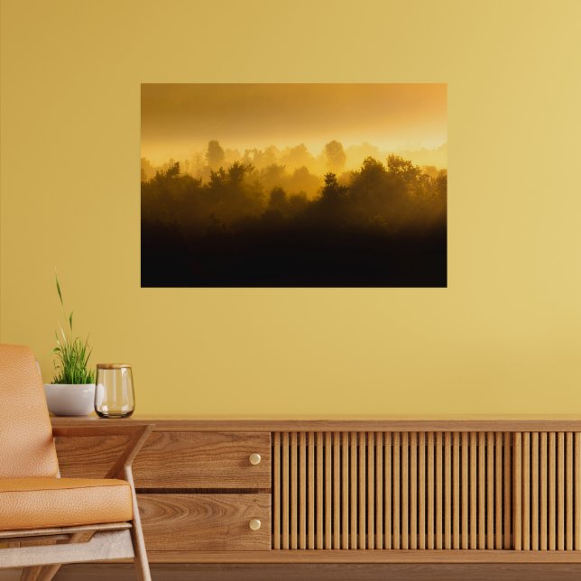 Affiche Soleil derrière les arbres brumeux (Salon 2)