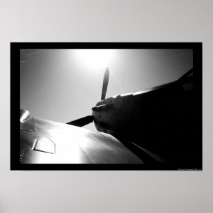 Affiche Soleil des feux d'araignée