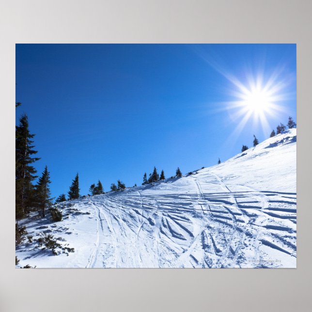 Affiche Soleil d'hiver 4 (Devant)