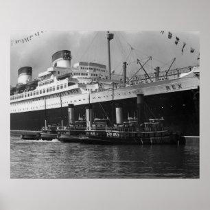 Affiche Solides solubles Rex