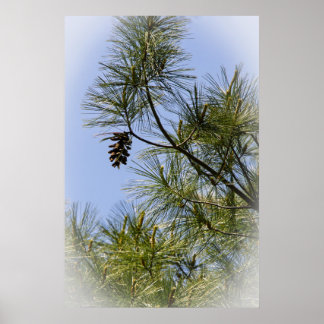 Affiche Solitair