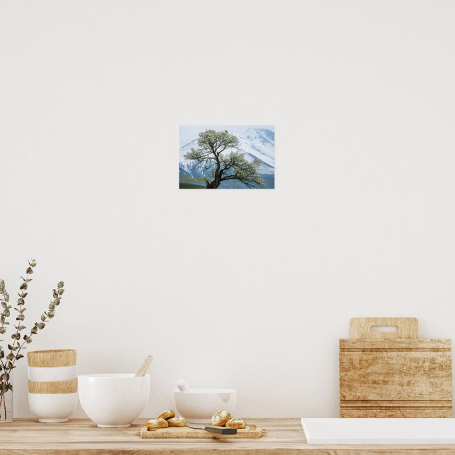 Affiche Solitary Blossoming Tree and Snowy Mountains (Cuisine)