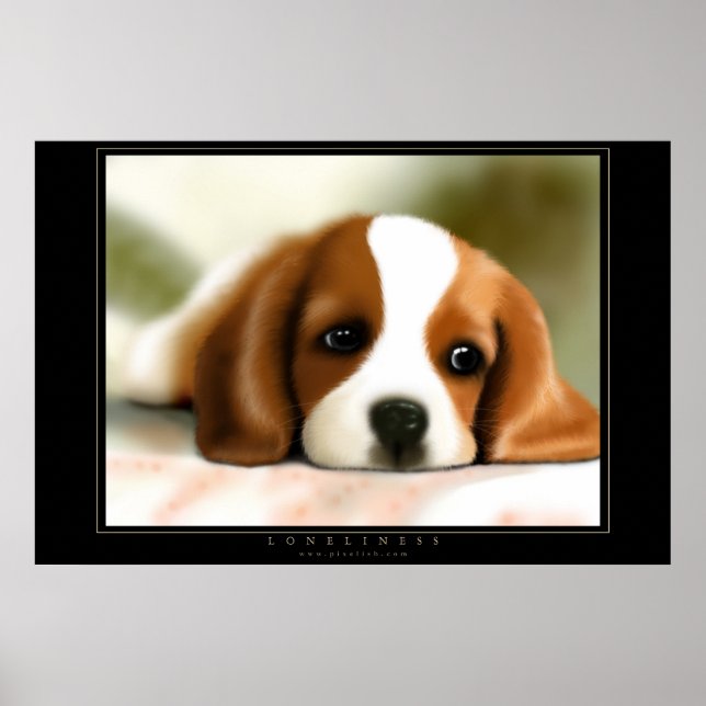 Affiche Solitude (Devant)