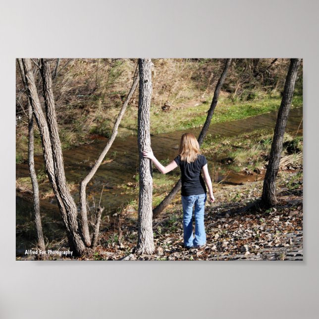 Affiche Solitude dans les arbres (Devant)