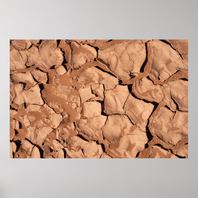 Affiche sols Brown (Devant)