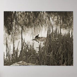 Affiche Solstice d'hiver