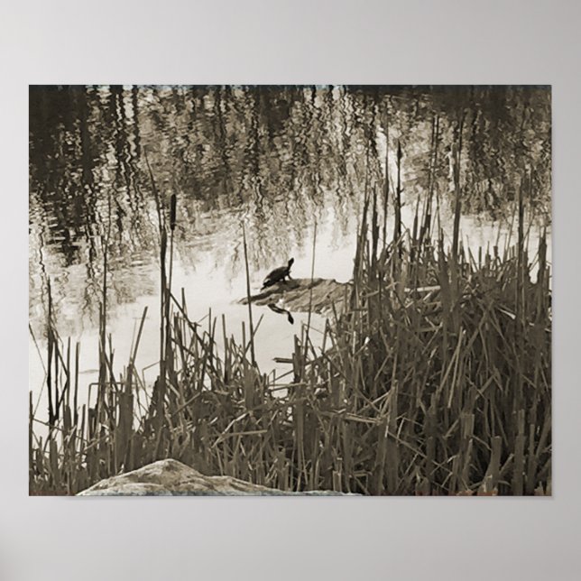 Affiche Solstice d'hiver (Devant)