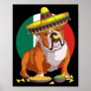 Affiche Sombrero English Chien Chien Chien Mexique Drapeau