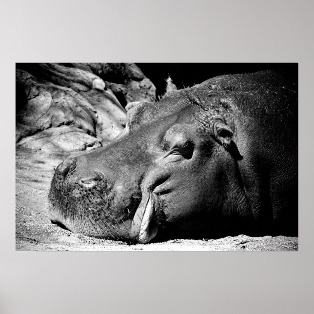 Affiche Sommeil (Devant)