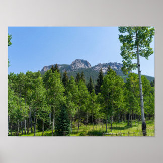 Affiche sommet thorodin au-dessus des bois à la porte d'or